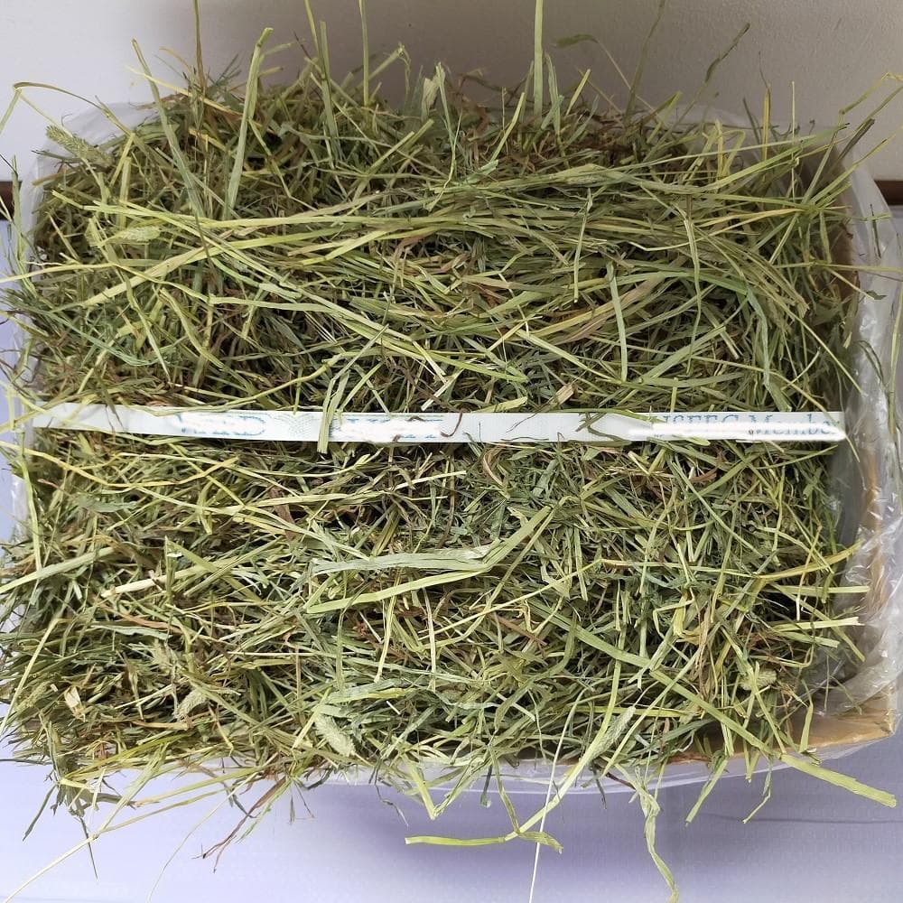 【処分価格】US産 チモシー 50kg ２番刈 ソフトSプレミアム