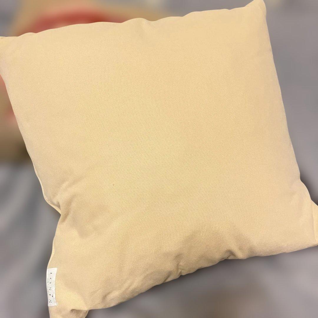 美品イヴドロームYves Delorme IOSIS クッションカバー2枚セット