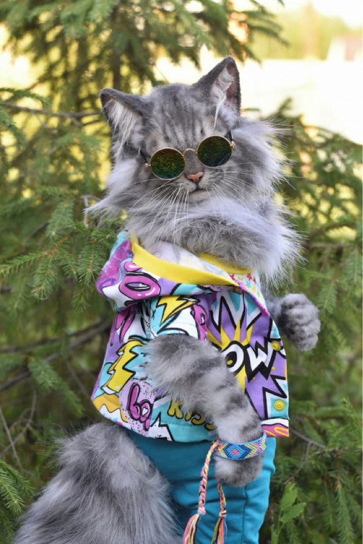 海外作家様　アートドール　サイベリアン