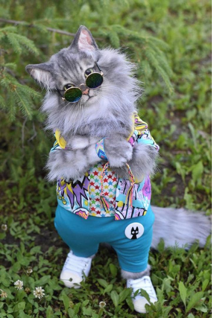 海外作家様　アートドール　サイベリアン