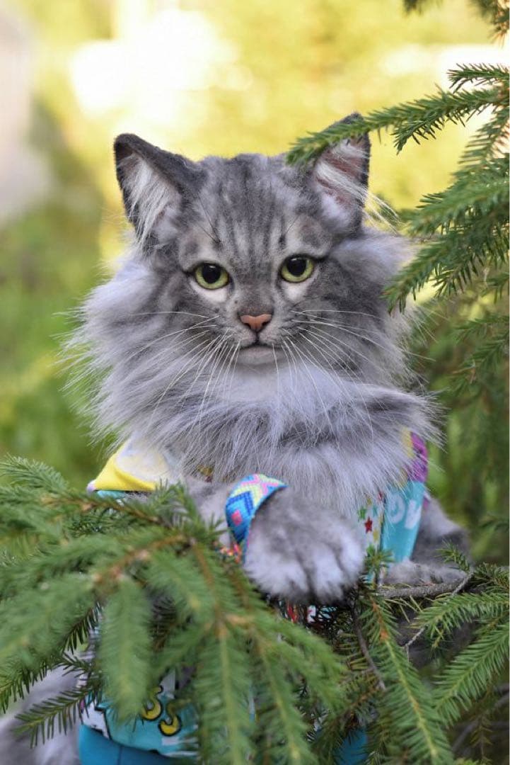 海外作家様　アートドール　サイベリアン