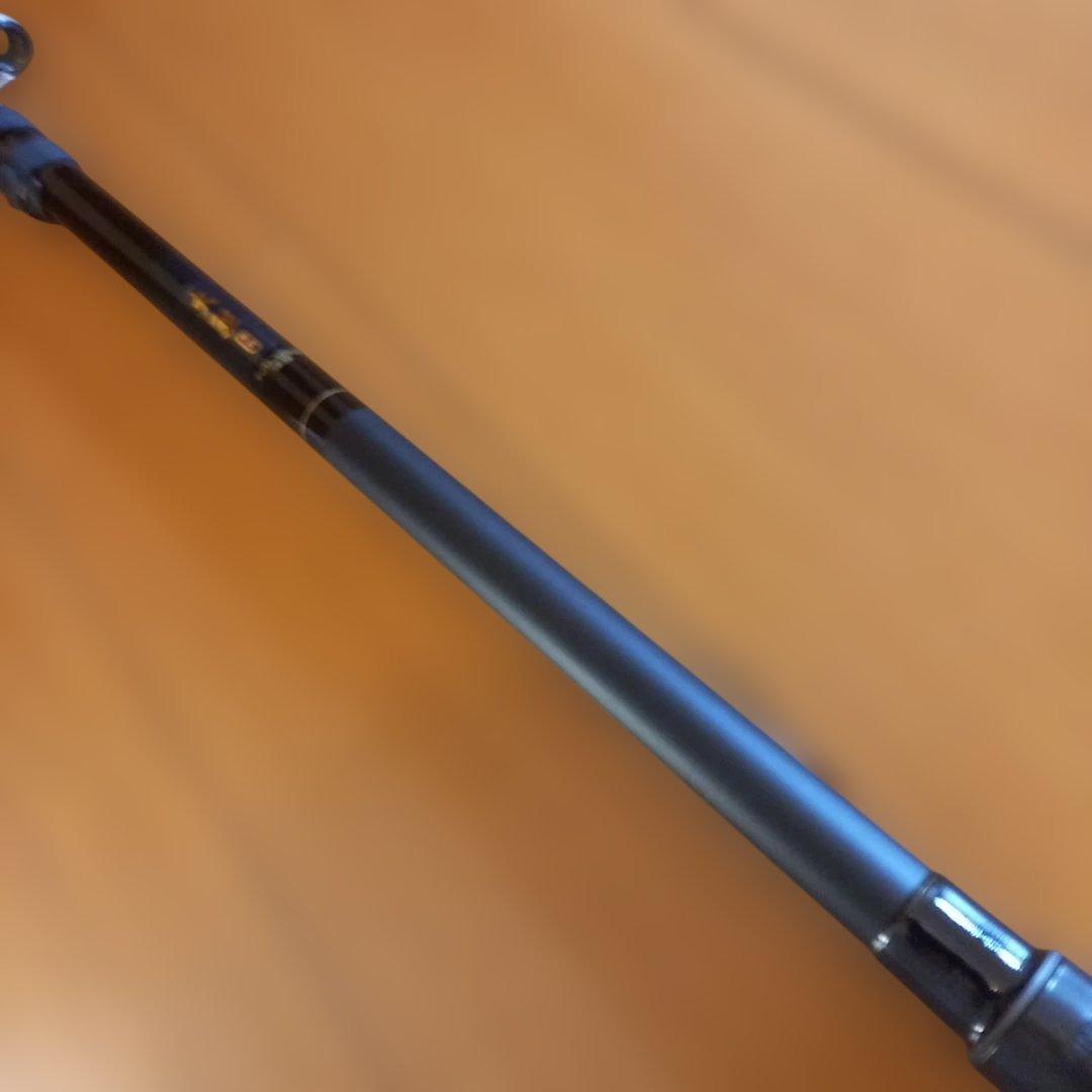 ダイワ 大鯉専科 MH53遠投 スピニングロッド