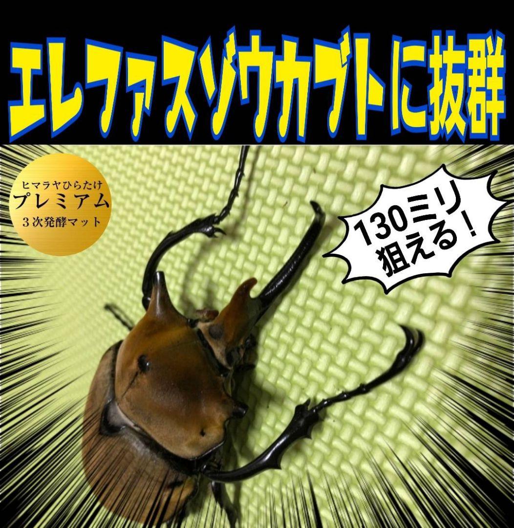 特選！プレミアム3次発酵カブトムシマット【たっぷり6袋】幼虫の餌・産卵に抜群！