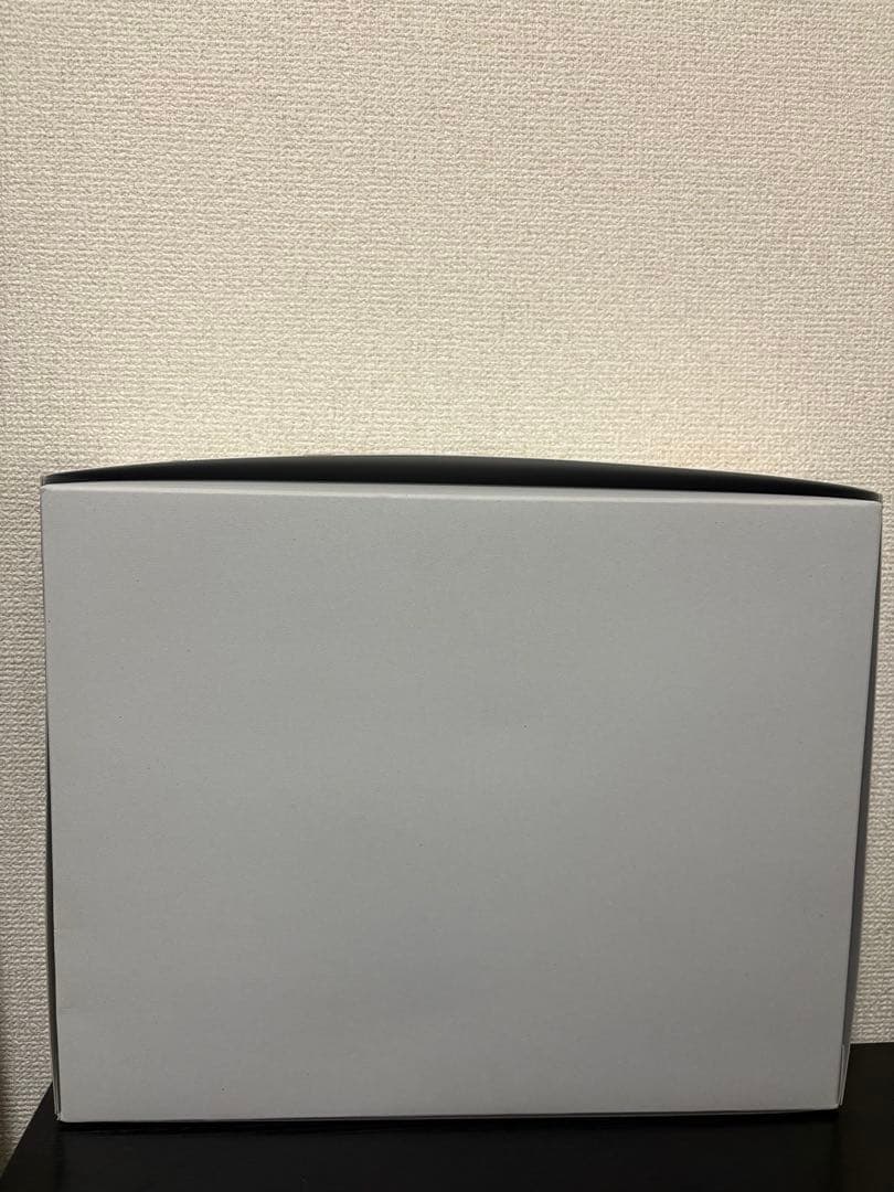 MG 1/100 ガンダムヴィダール