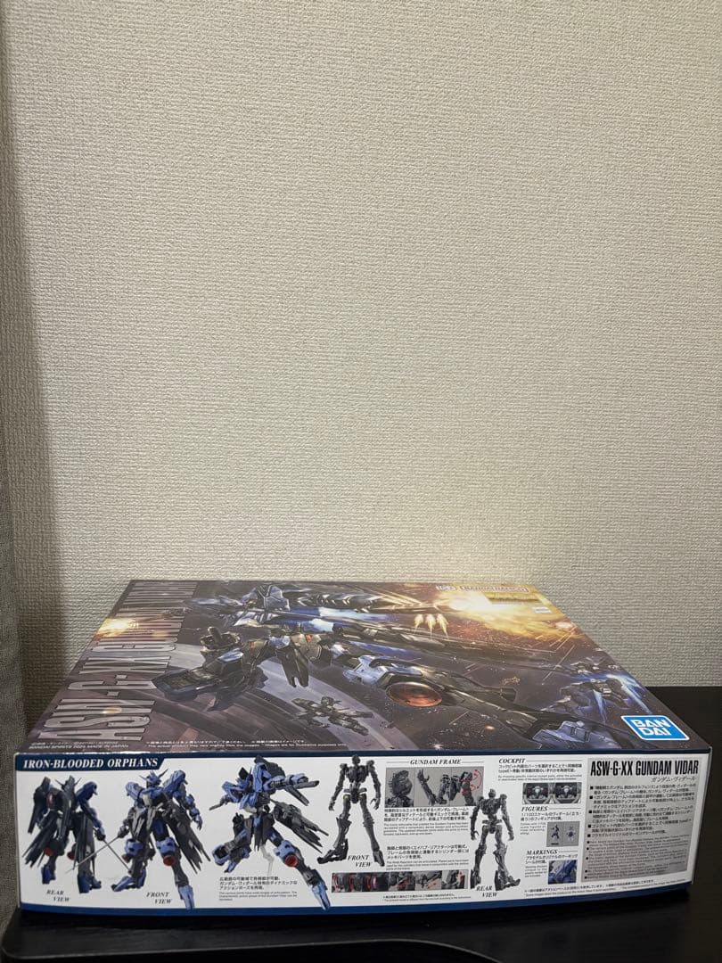 MG 1/100 ガンダムヴィダール