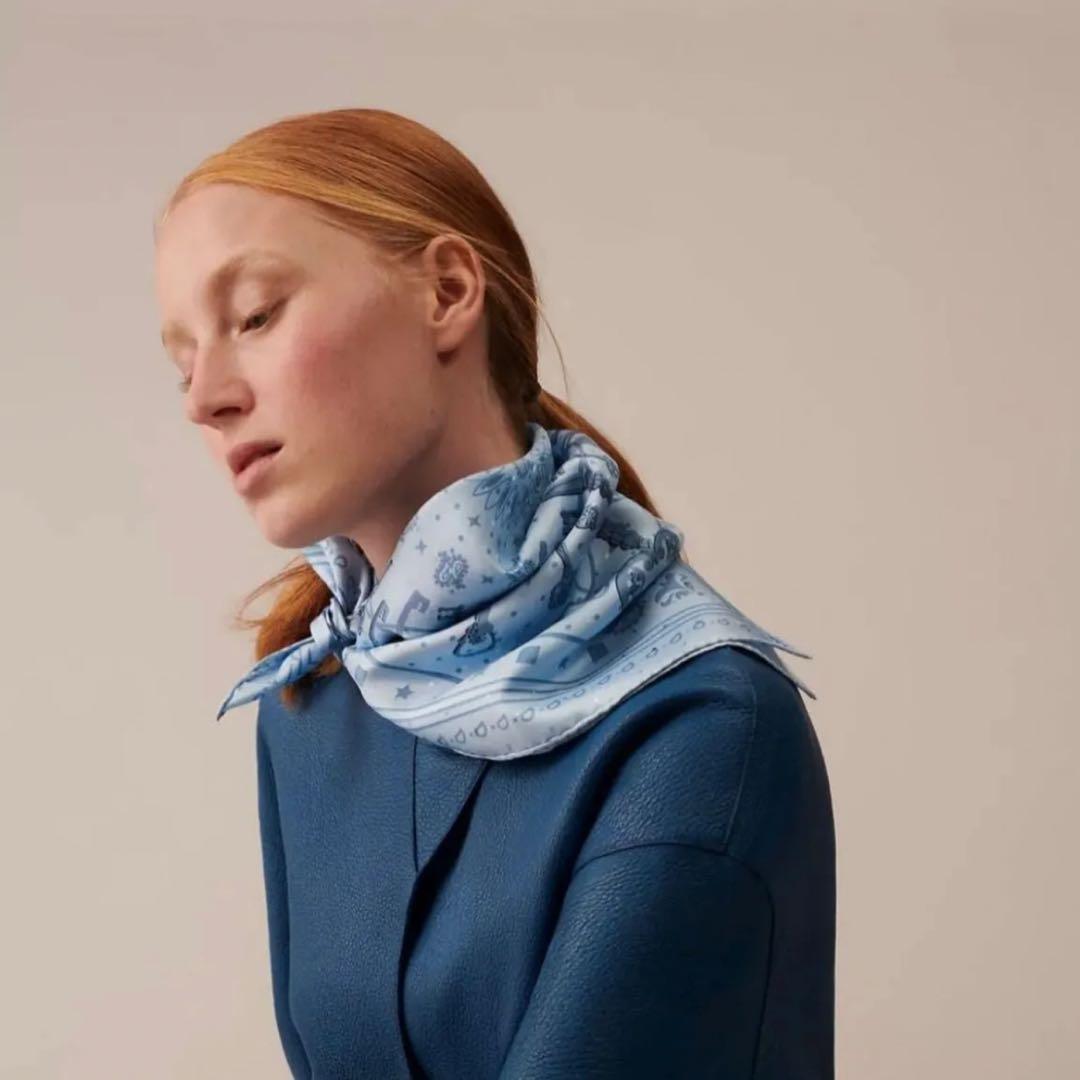 キ*プ様 【未使用保管品✨】HERMES シルク　バンダナ　プリュムティ　レ・ク