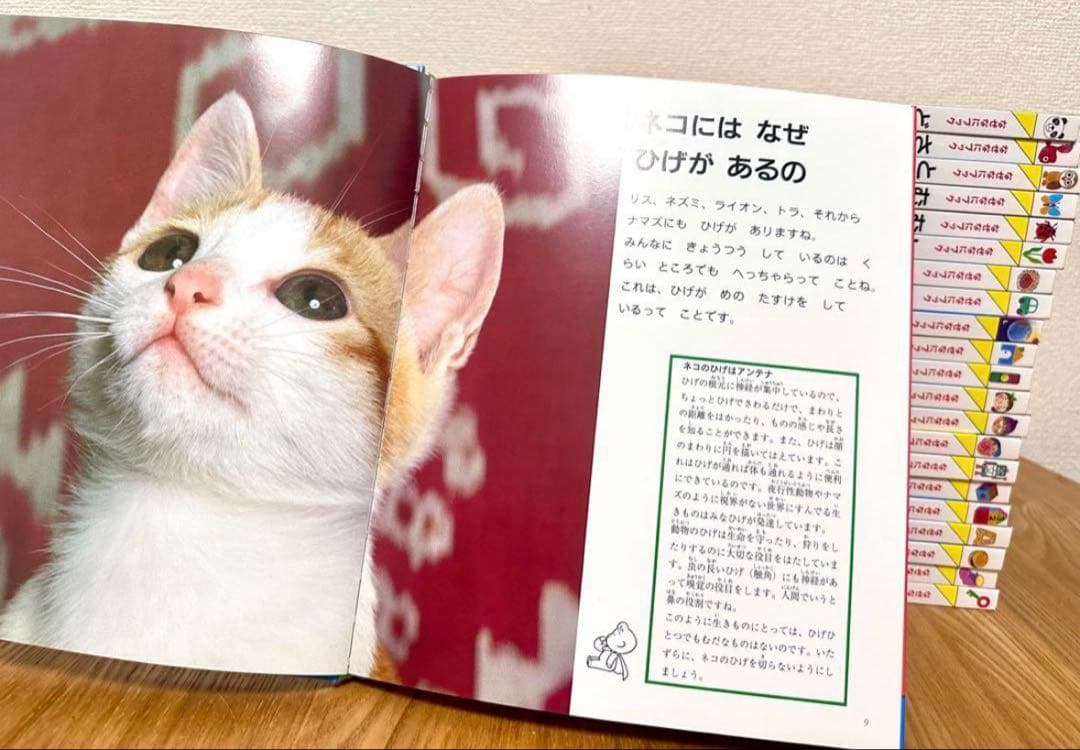 A*N様 【新品未使用】幼児教育 絵本 全22冊セット　なぜなにブック