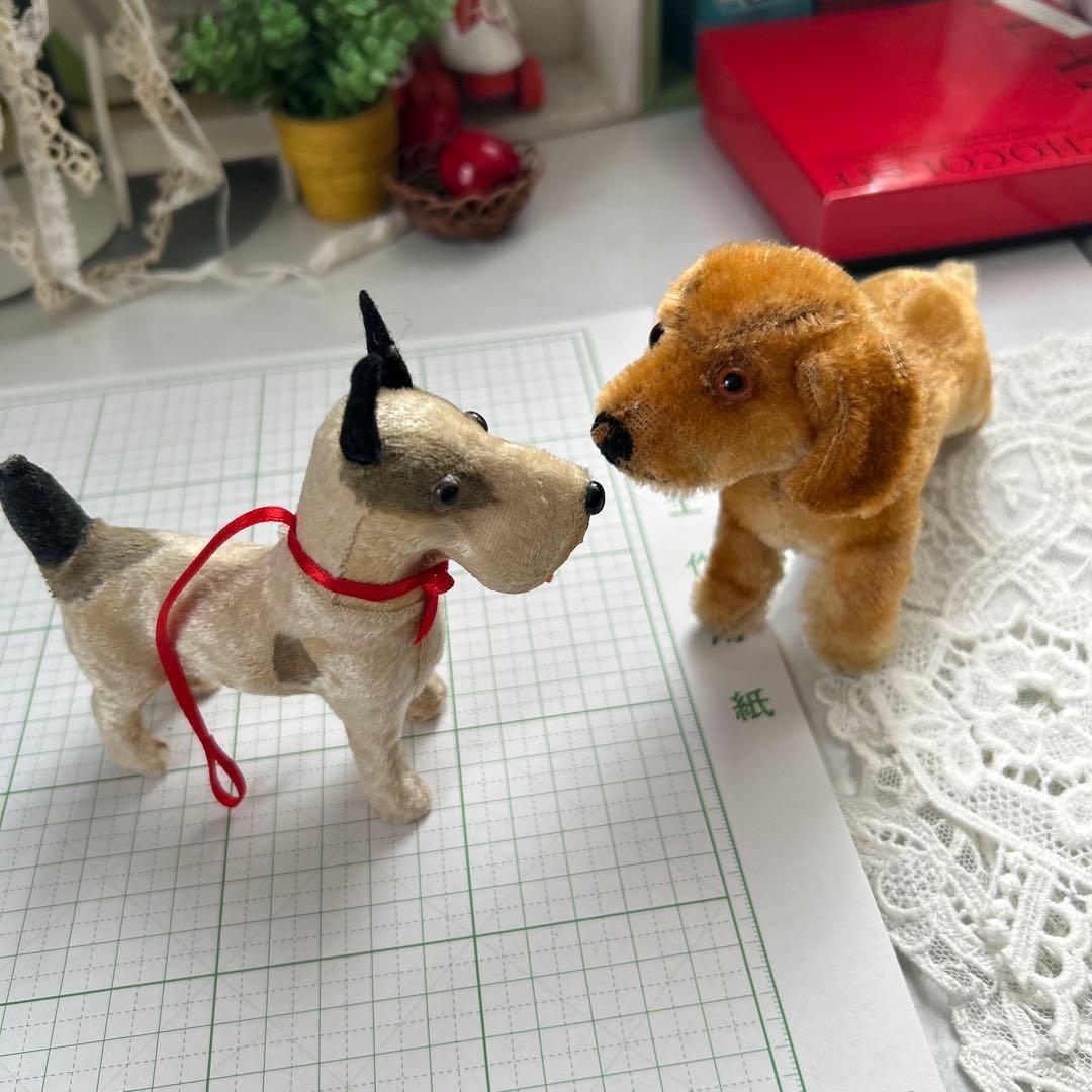 ビンテージフォックステリア