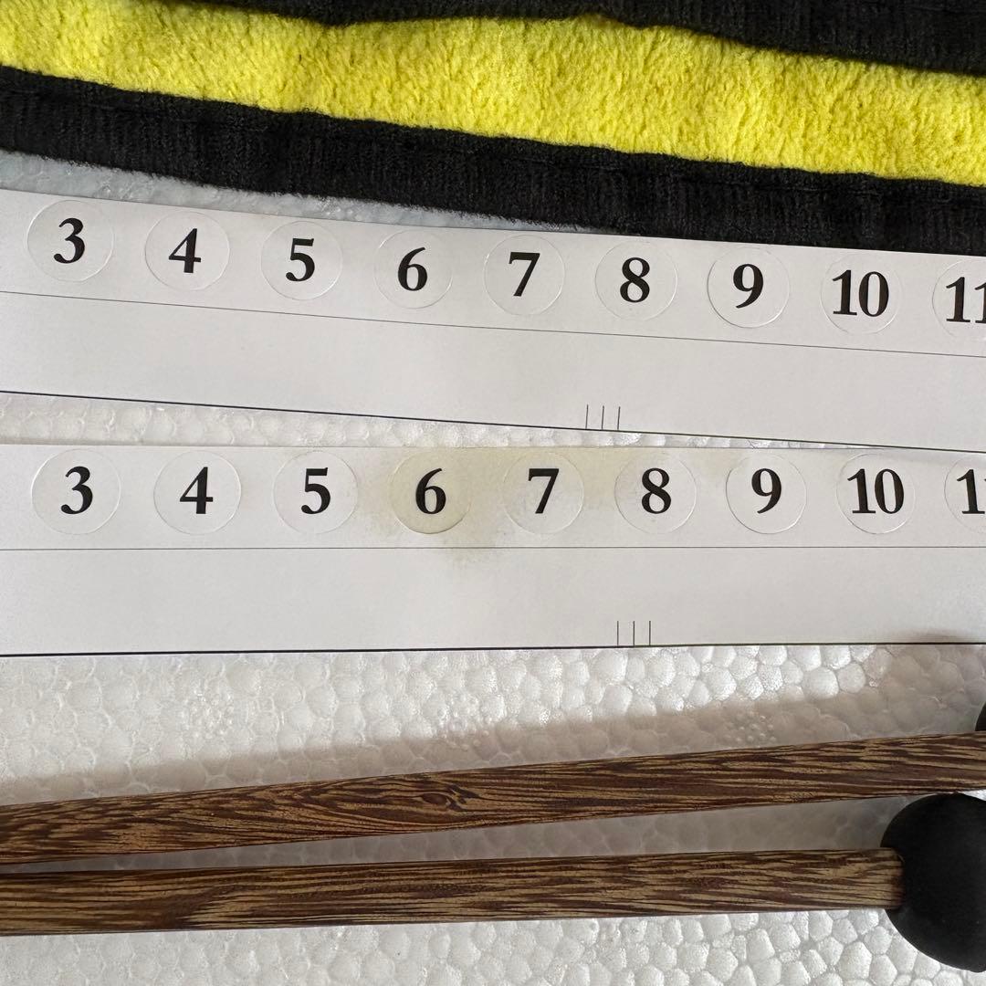 ハンドパン 10音 Dマイナー調 スチール製 未使用 ケース・付属品あり