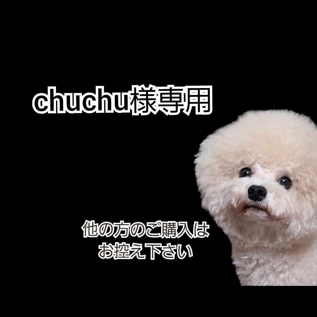 【chuchu】AZ アゼット フィッシュ ２袋