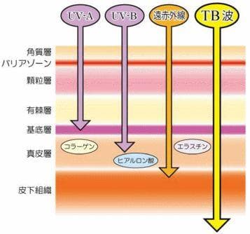 テラヘルツ鉱石を入れたアンクレット 長さ25cm ２本入り 赤色