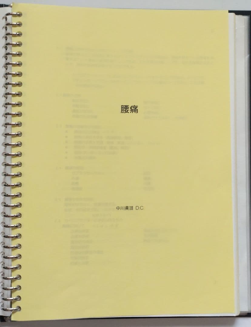 ☆希少☆ 中川貴雄 カイロプラクティック勉強会 テキスト 資料