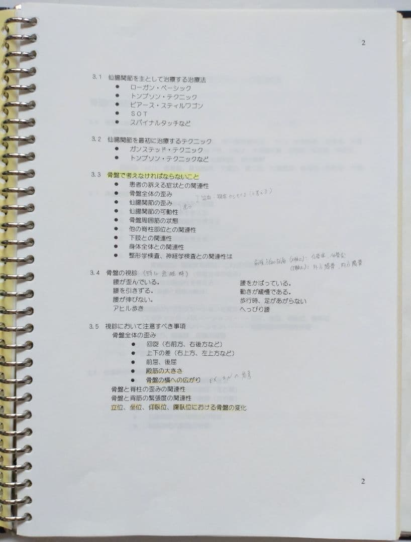 ☆希少☆ 中川貴雄 カイロプラクティック勉強会 テキスト 資料