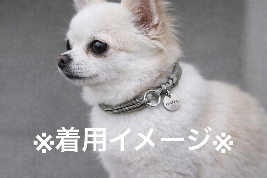 着用イメージ画像