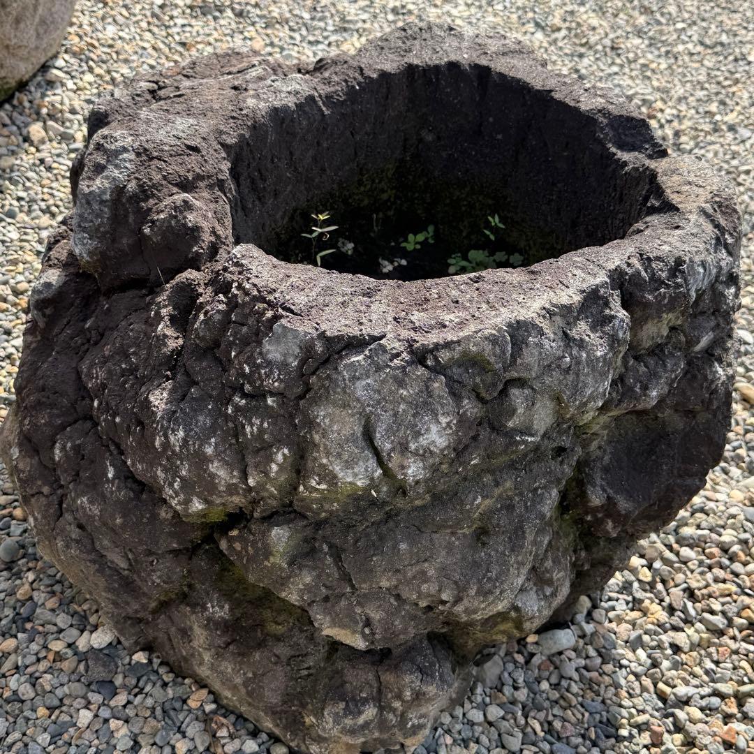溶岩石の植木鉢、岩鉢。