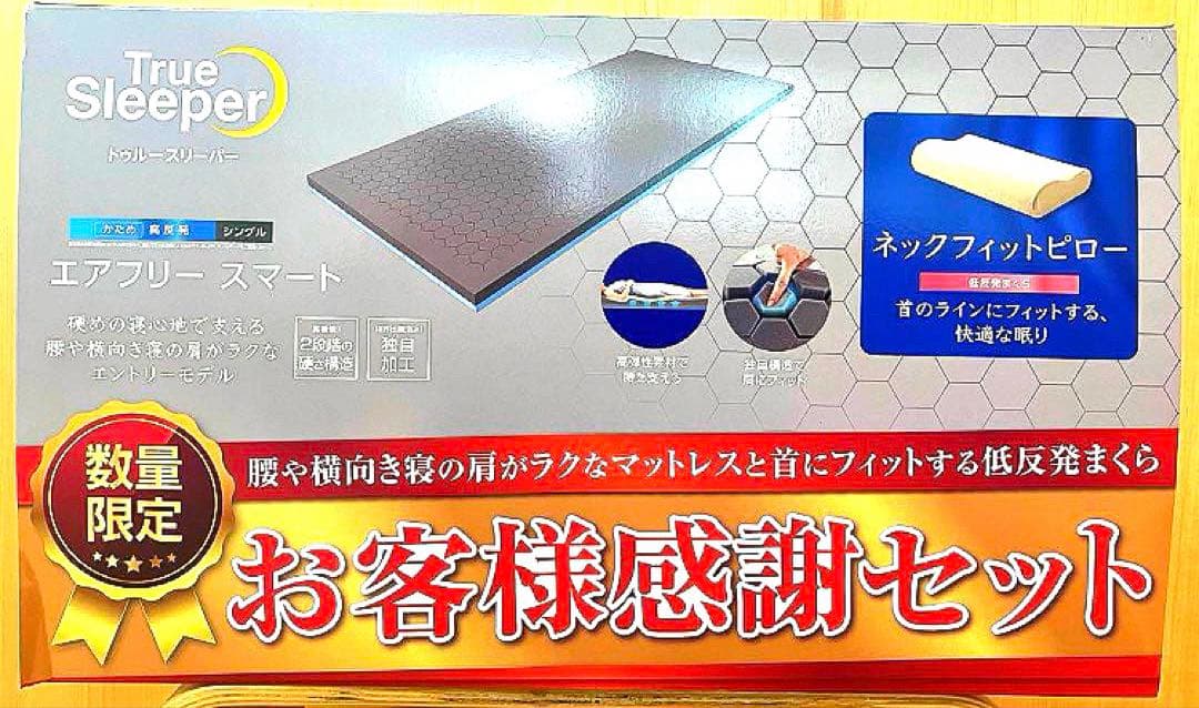 【新品 カバー付】トゥルースリーパー エアフリー スマート ネックフィットピロー