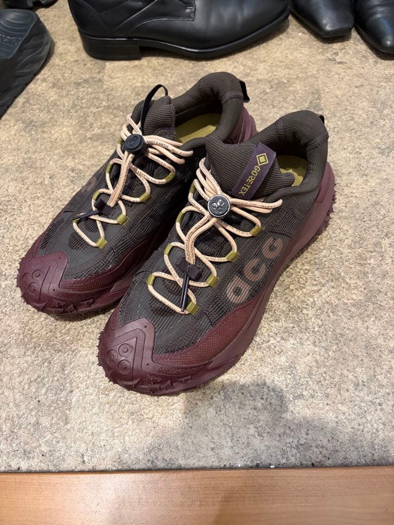 ナイキ ACG MOUNTAIN FLY 2 LOW GORE-TEX