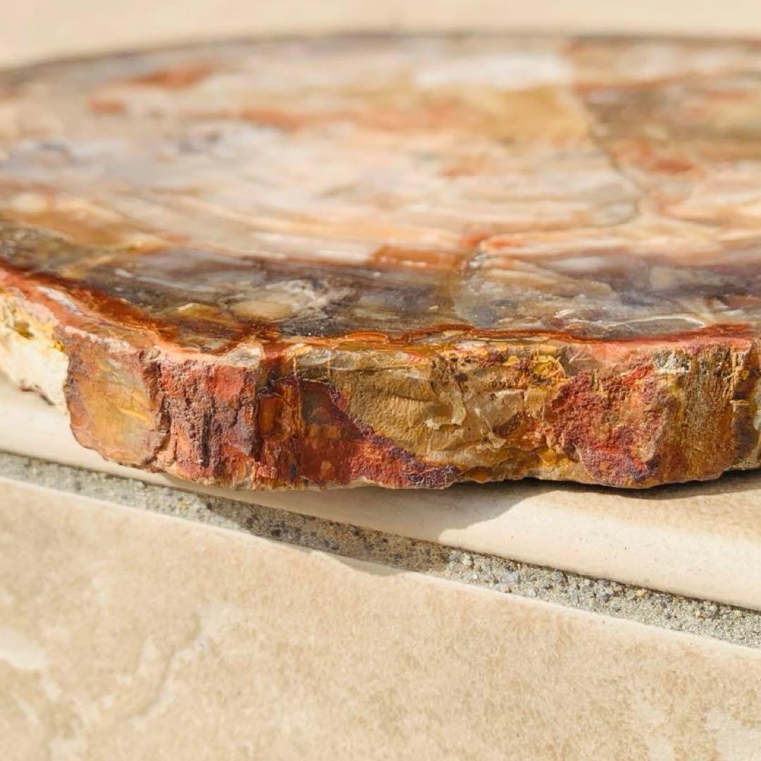 【⭐️超巨大‼︎約2億5000万年の樹木化石⭐️】茶色 ブラジル産 珪化木 天然原石