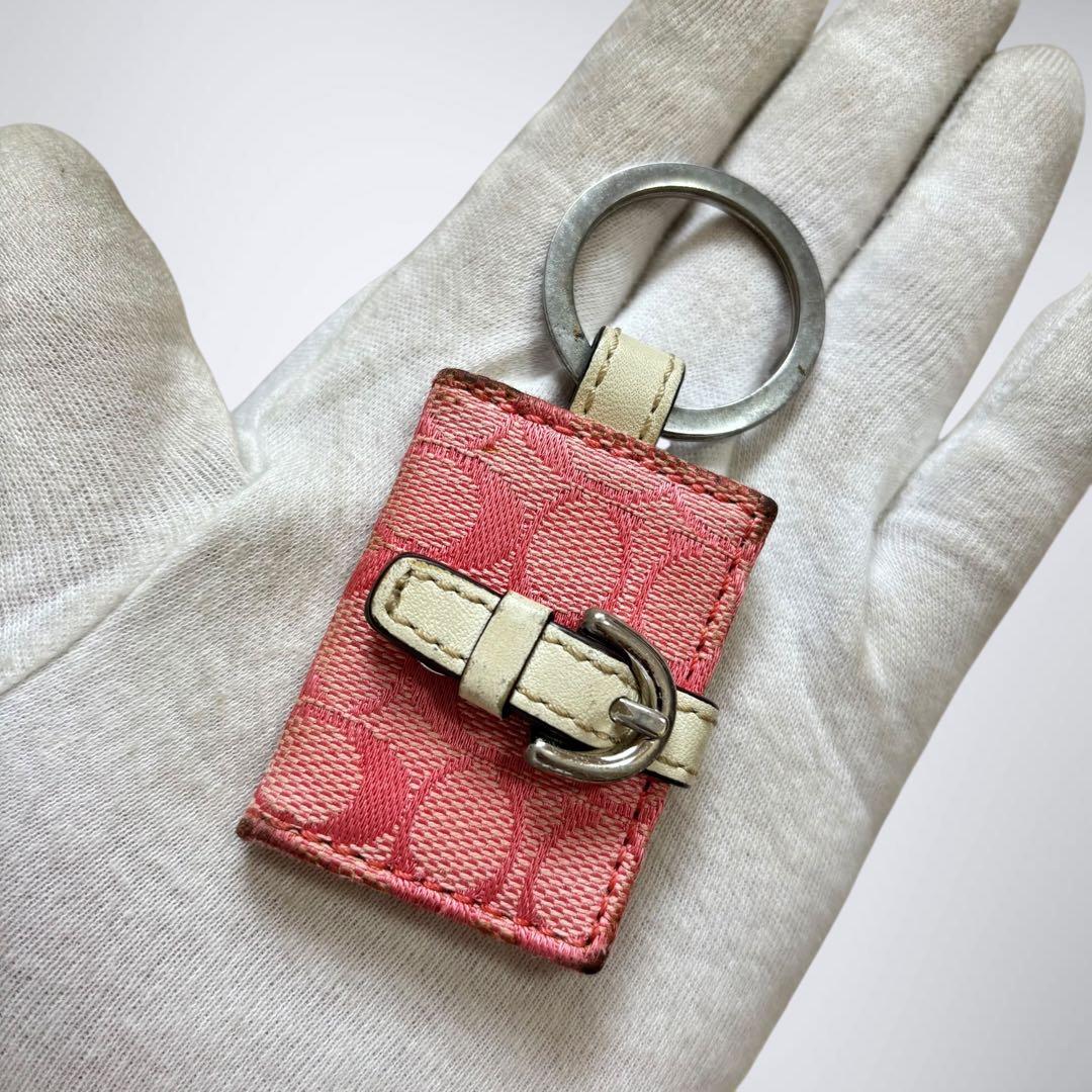 coach コーチ　チャーム　キーホルダー　10点　まとめ売り　ティーローズ　等