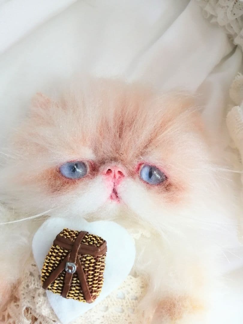 生後６ヶ月♡エキゾチックロングヘア♡子猫ちゃん♡アートドール♡ぬいぐるみ♡
