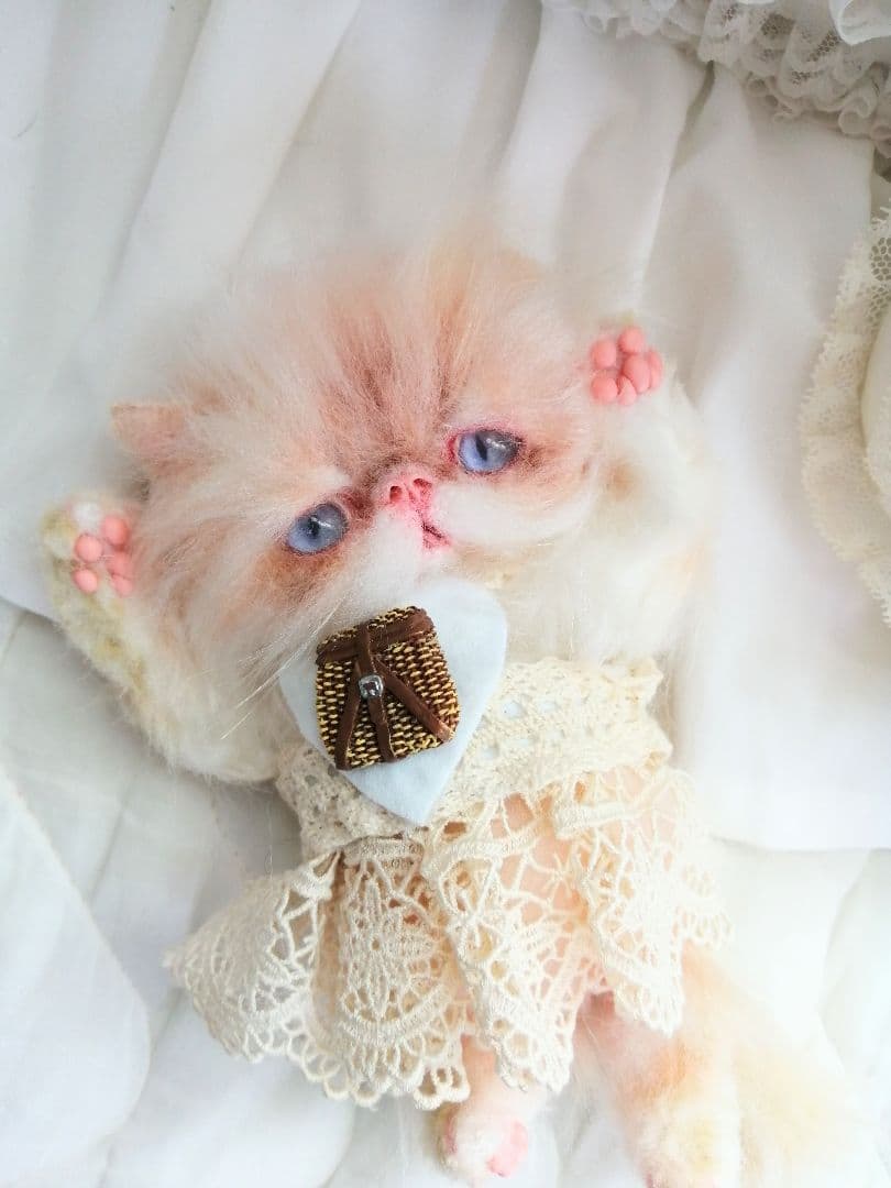 生後６ヶ月♡エキゾチックロングヘア♡子猫ちゃん♡アートドール♡ぬいぐるみ♡