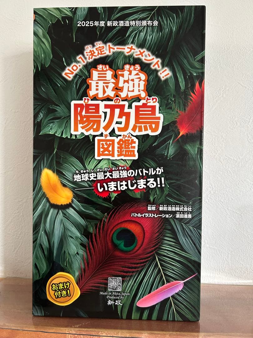 新政頒布会　2025 陽乃鳥　3回戦