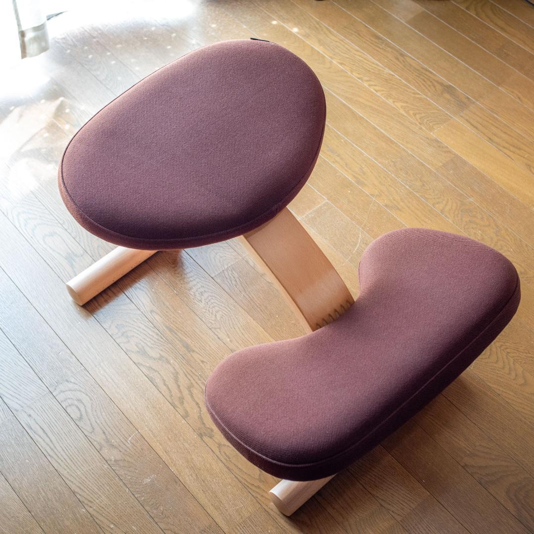 バランスイージー ショートフレーム