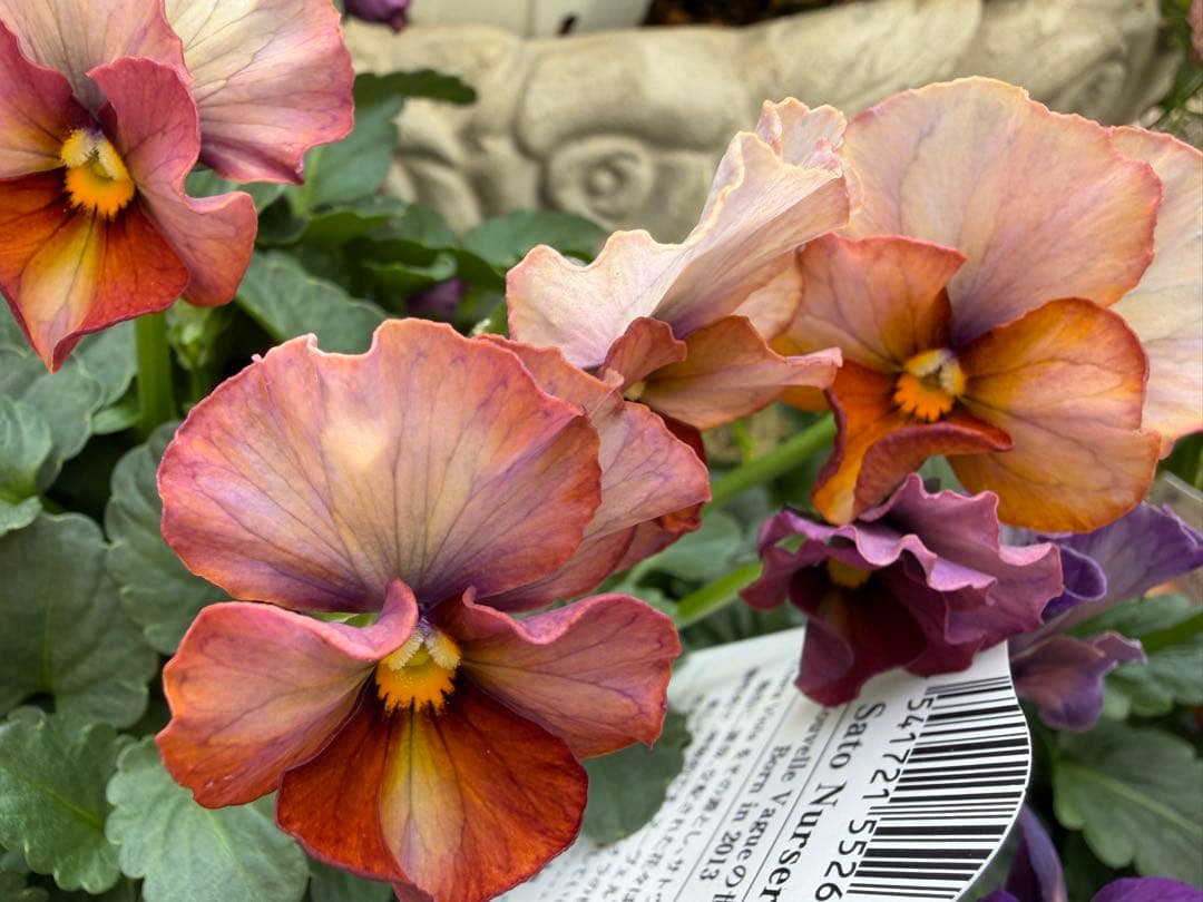 あっき様　13点