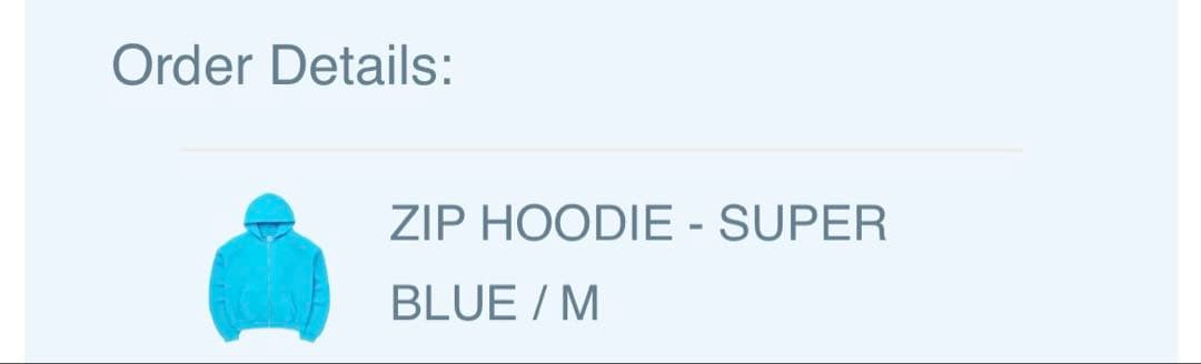 SKYLRK ZIP HOODIE BLUE ジャスティンビーバー M パーカー