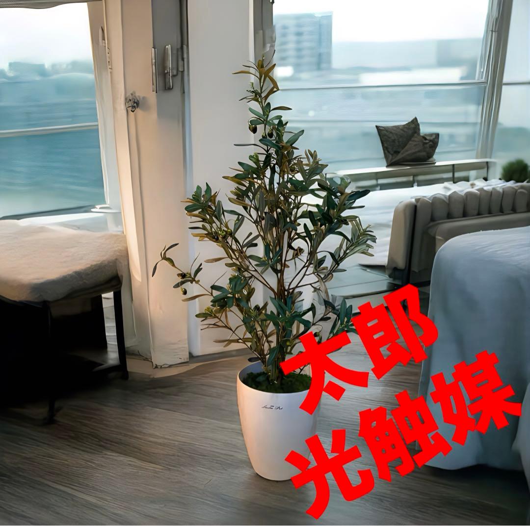 光触媒　人工観葉植物　ウォールグリーン　フェイクグリーン　オリーブ100g