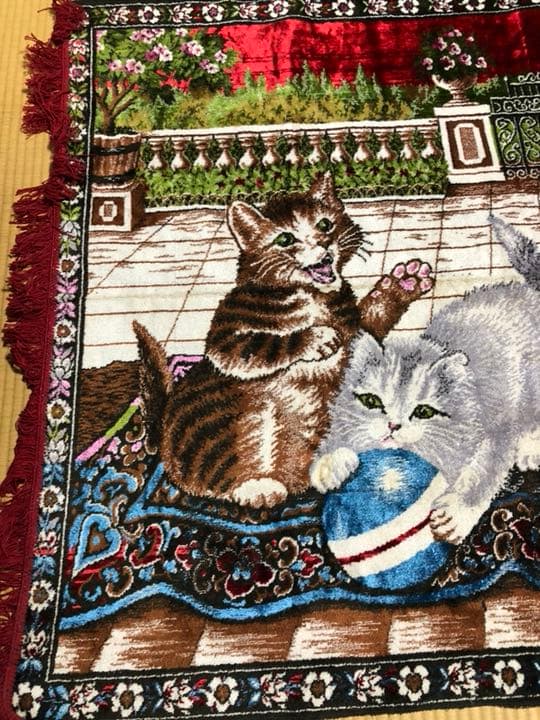 猫の絨毯