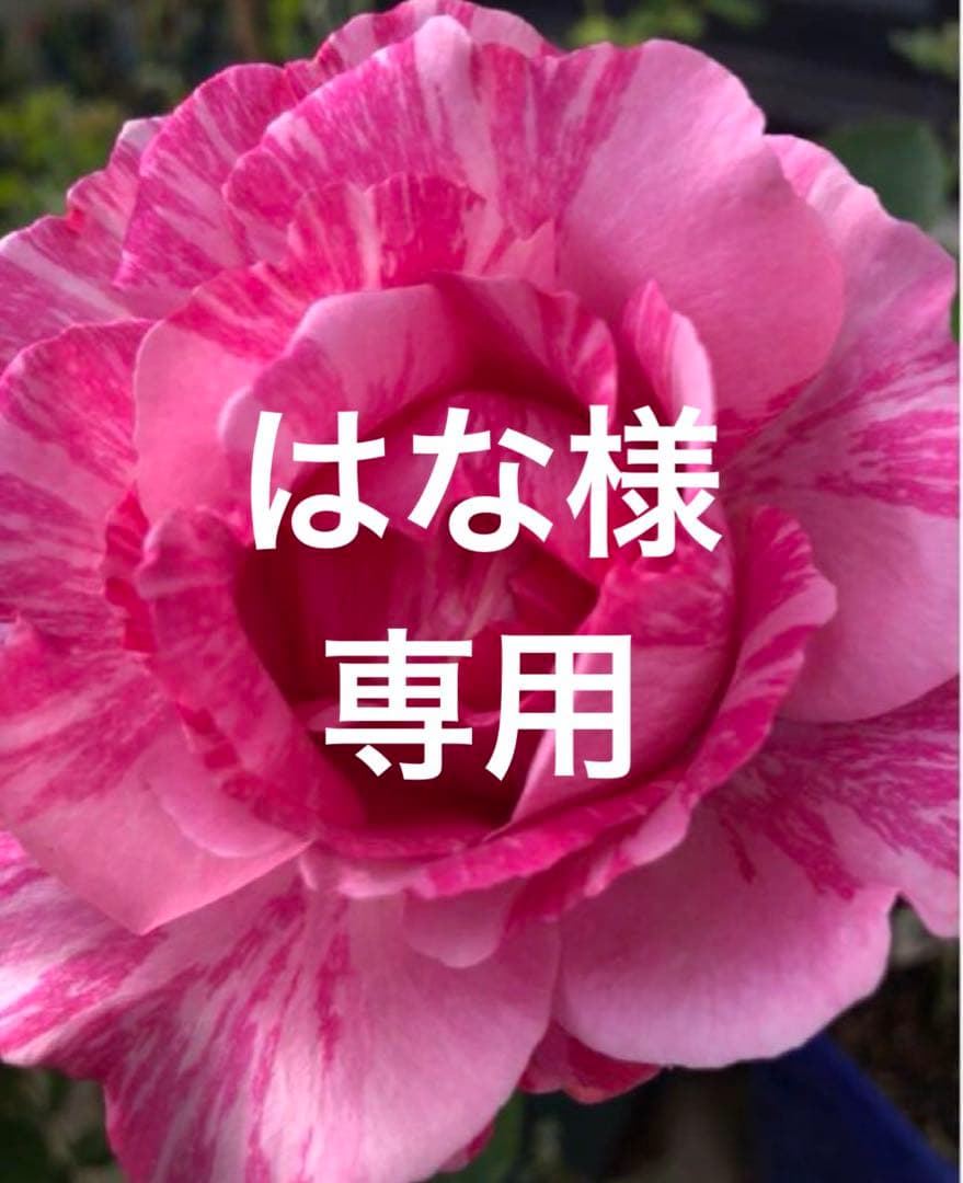 はなページです