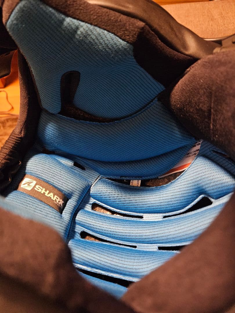 極美品 SHARK DRAK（シャーク ダラク）Lサイズ 布袋付 使用少