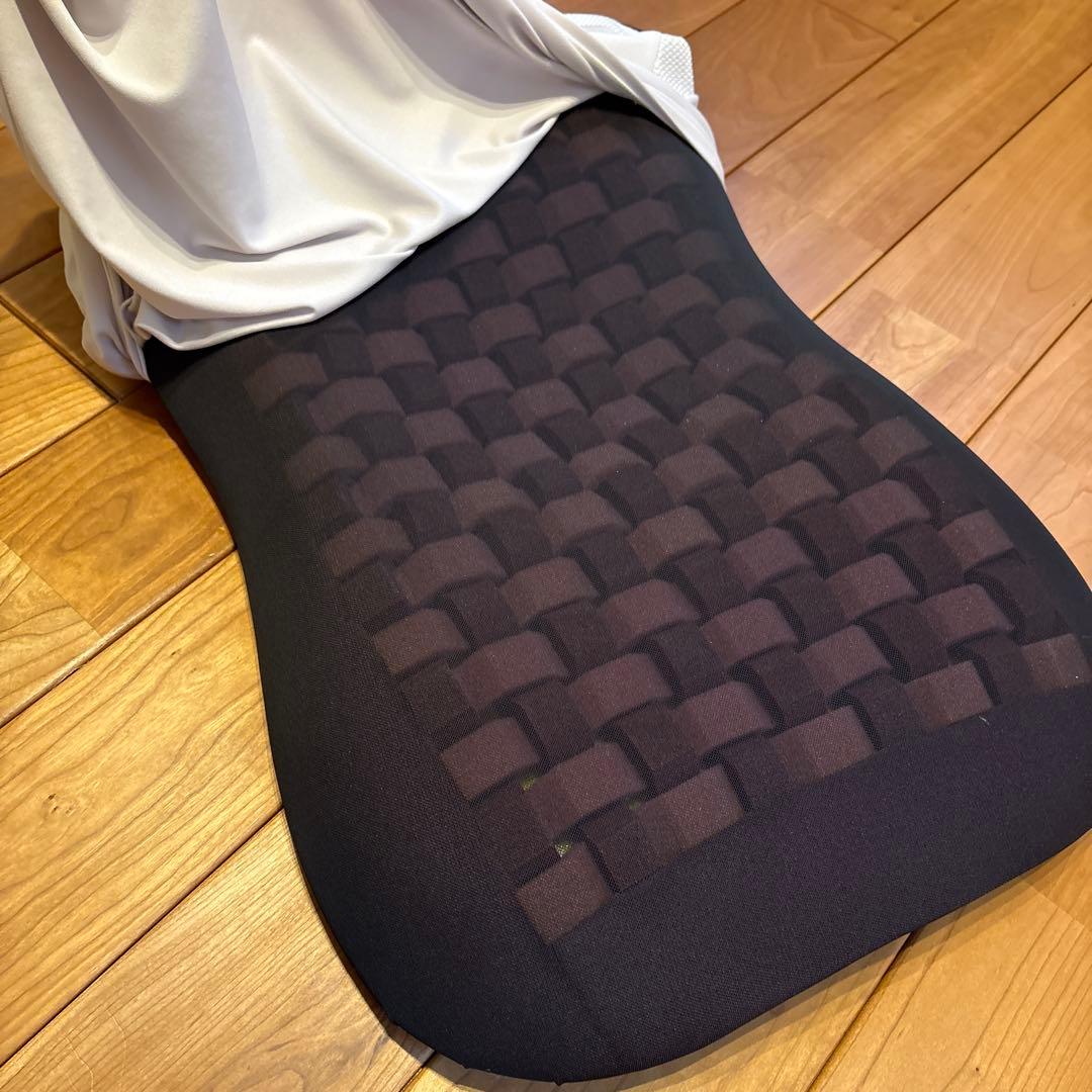 西川air 4Dピロー(Lowタイプ)