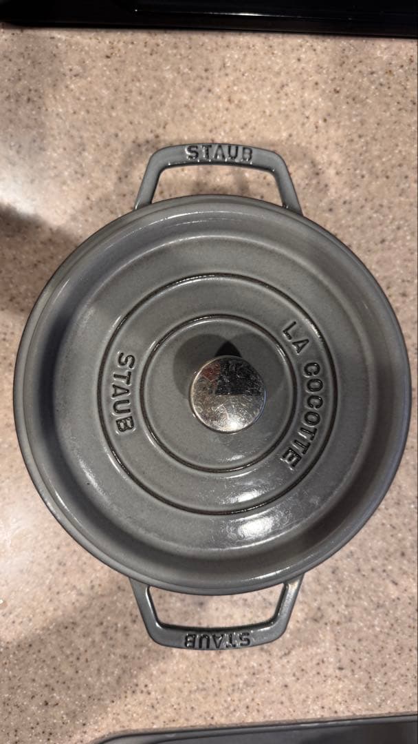 STAUB La Cocotte 22cm グレー ストウブ 鉄鍋 無水鍋