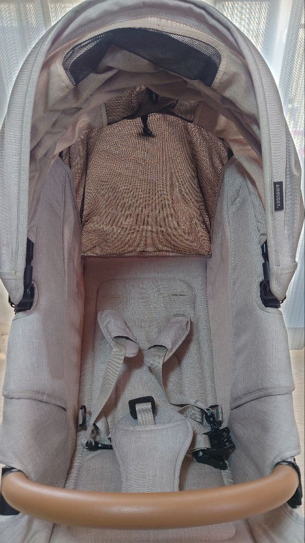 AIR BUGGY ココブレーキ EX FROM BIRTH （追加付属品あり）