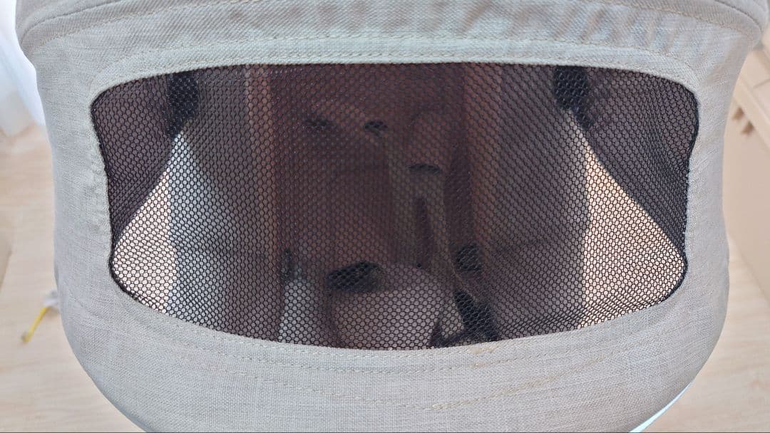 AIR BUGGY ココブレーキ EX FROM BIRTH （追加付属品あり）