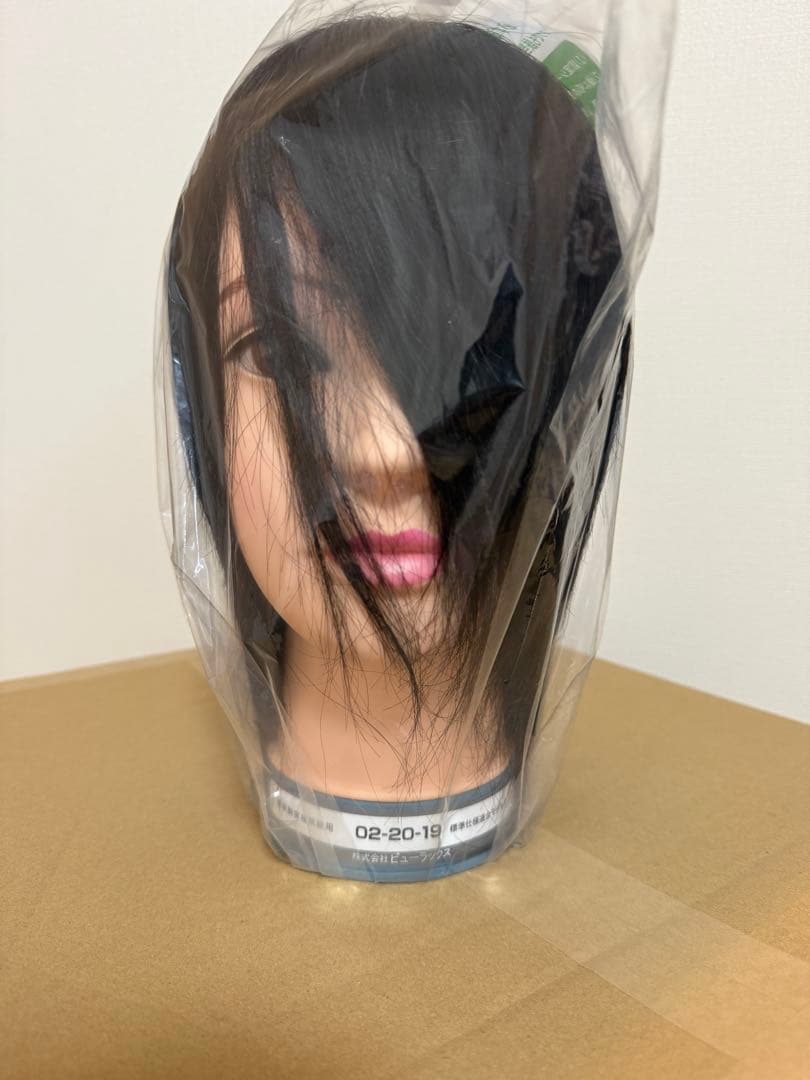 国家試験用カットウィッグ16体