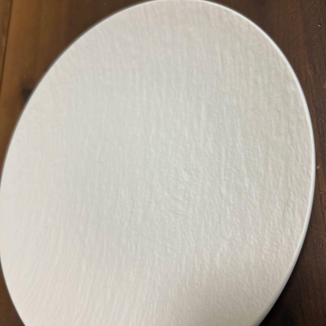 Villeroy & Boch マニファクチャーロックプレート 25cm 白　黒