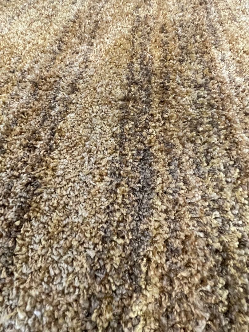 ラグカーペット　Mリュストル14AW