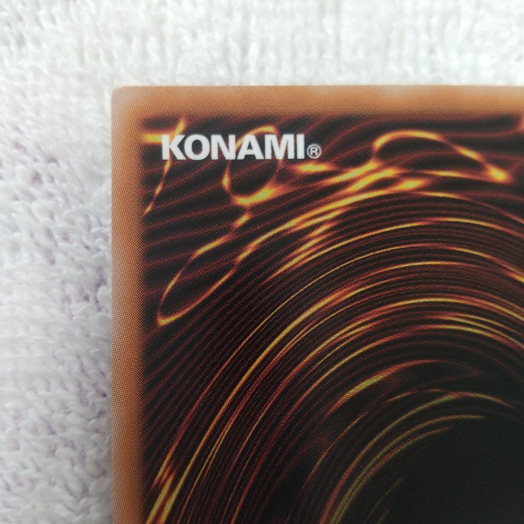 マリスポーンホワイトラビット25th