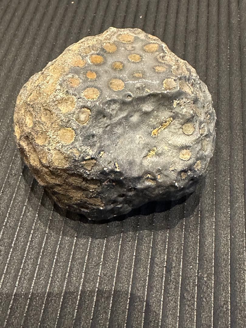 天然石鉢　筆洗　水鉢　希少　一点物
