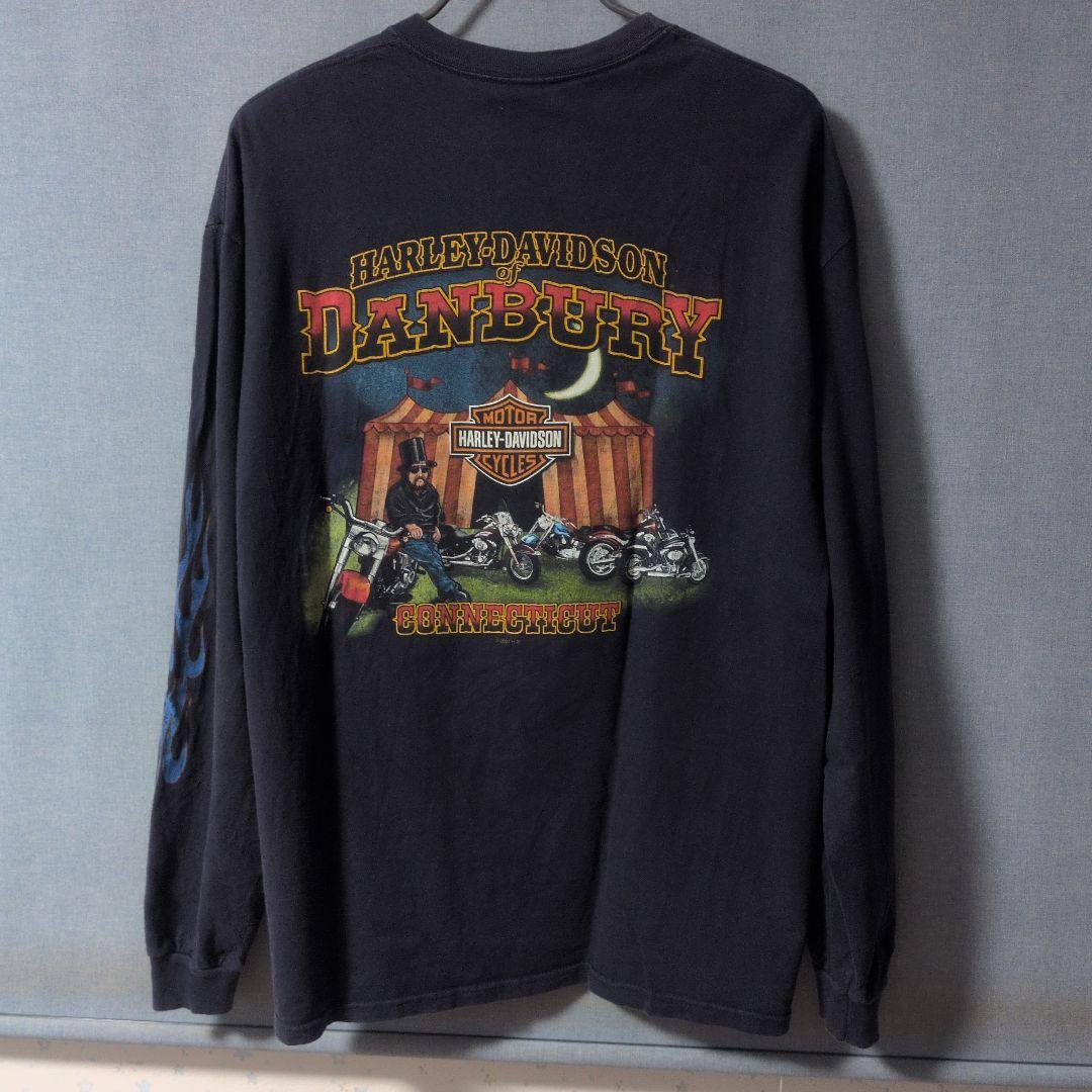 ハーレーダビッドソン　ロンＴ　袖ブルーフレイム　XL
