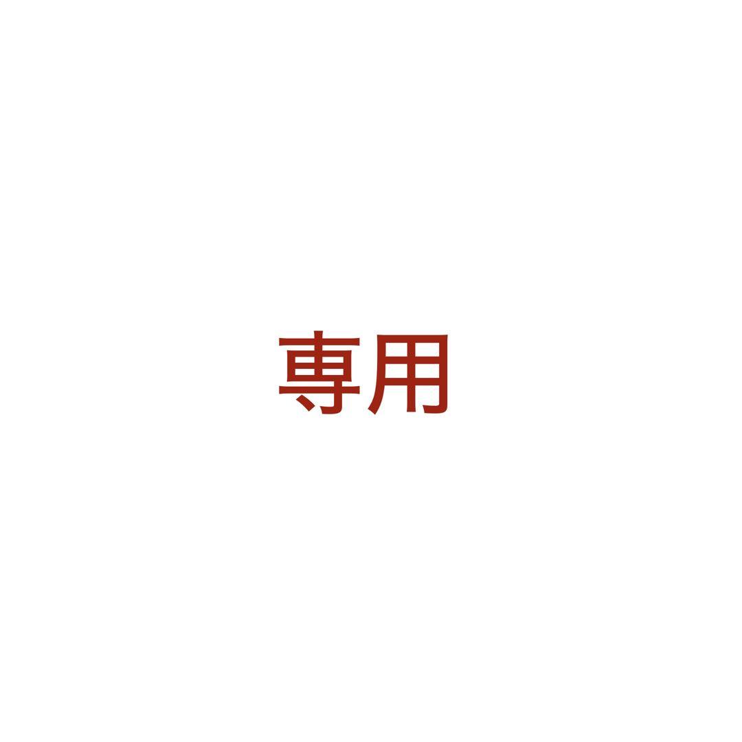iPad本体 MAX