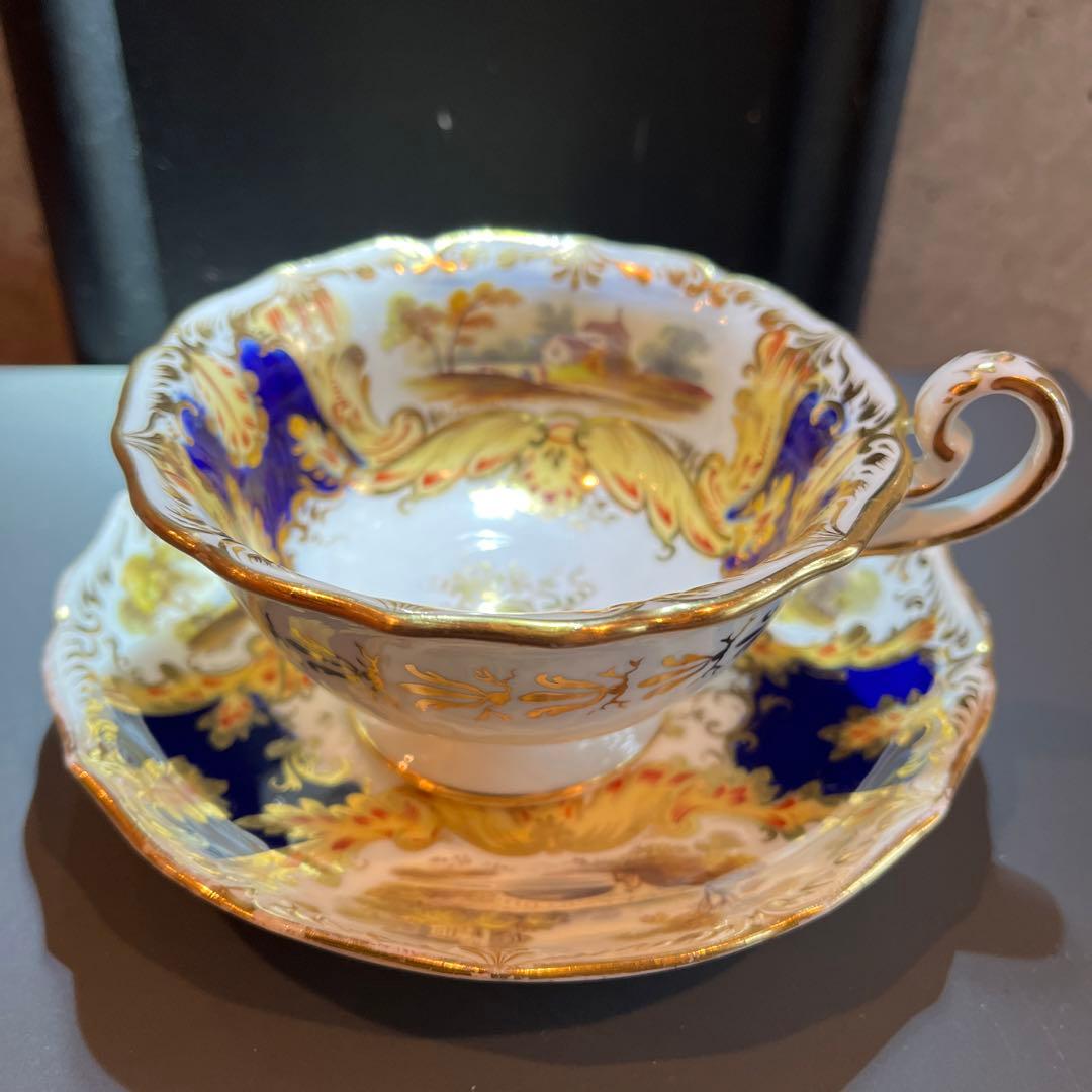 コールポート　アデレードシェイプ風景画　カップ＆ソーサー