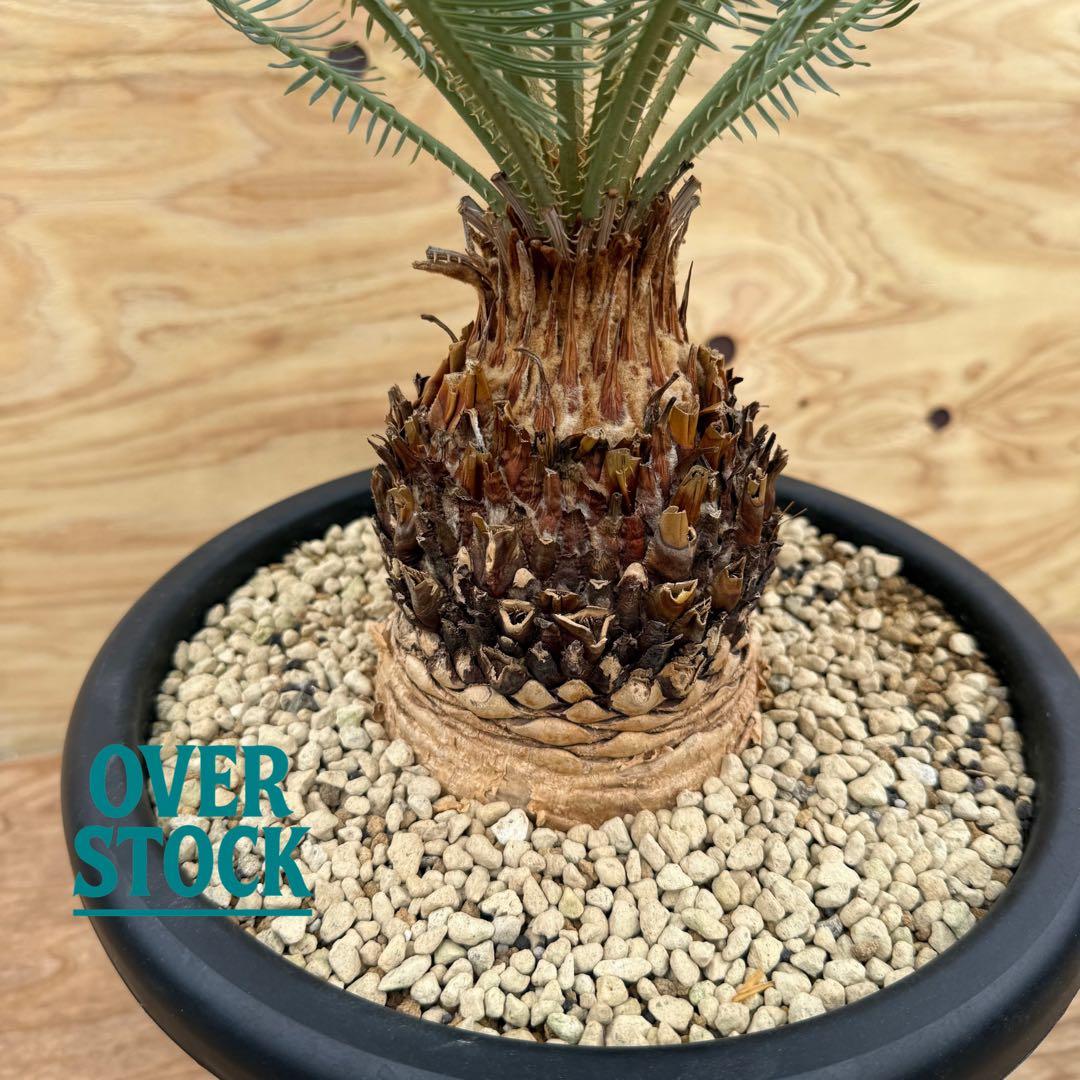 arichan50さん　専用