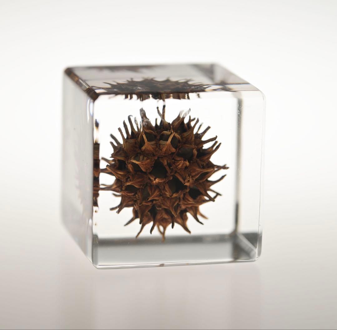 ソラキューブ sola cube 宙 木箱セット 8個