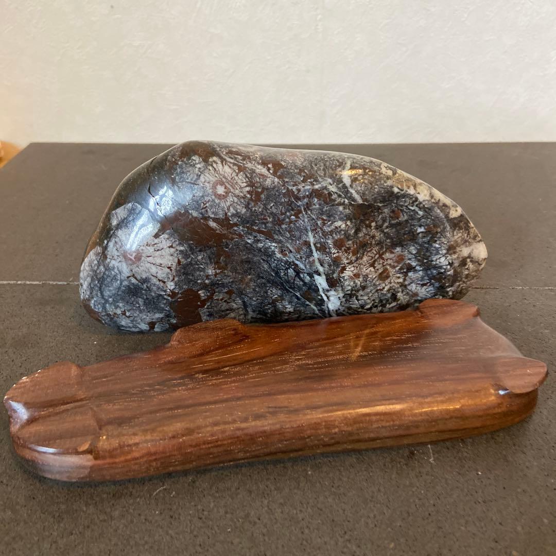 菊花石　★鑑賞石　菊花石