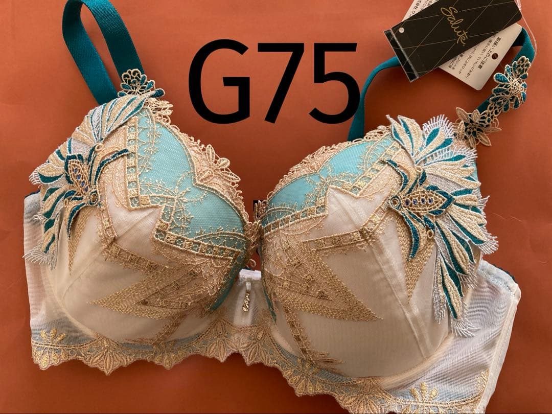 サルート/G75/79G/BE/ブラジャー