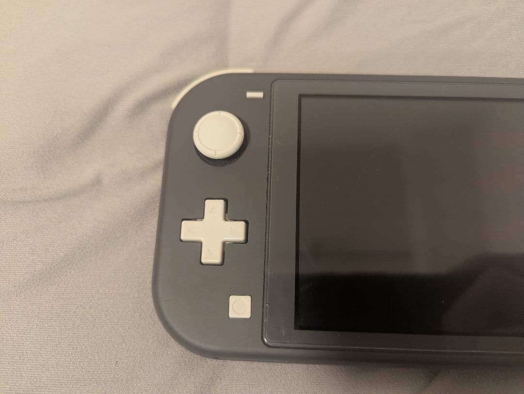 Nintendo Switch Lite グレー 本体　収納ケース付き